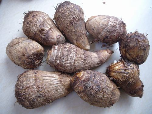 ��ͷĸ�Ӿ۱���